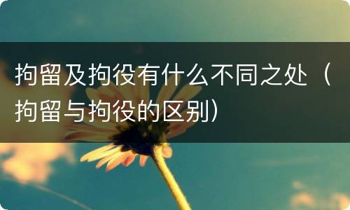 拘留及拘役有什么不同之处（拘留与拘役的区别）