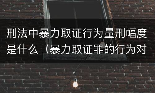 刑法中暴力取证行为量刑幅度是什么（暴力取证罪的行为对象是）