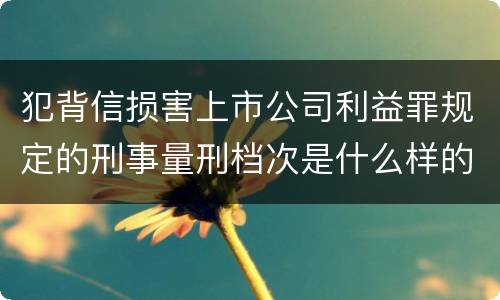 犯背信损害上市公司利益罪规定的刑事量刑档次是什么样的
