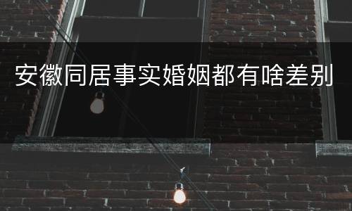 安徽同居事实婚姻都有啥差别