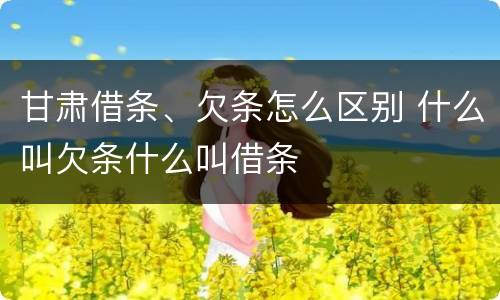 甘肃借条、欠条怎么区别 什么叫欠条什么叫借条