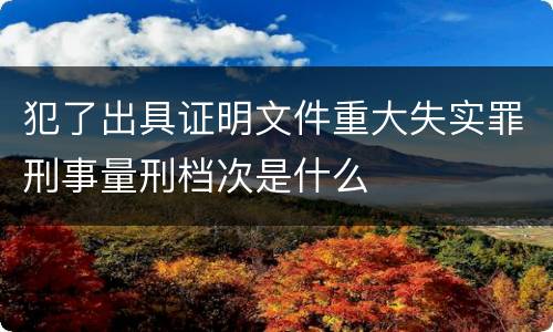 犯了出具证明文件重大失实罪刑事量刑档次是什么