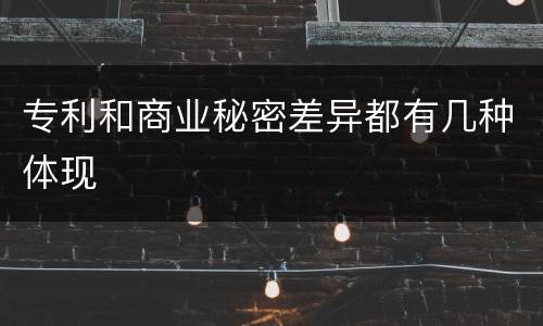 专利和商业秘密差异都有几种体现