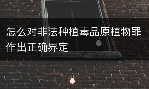 怎么对非法种植毒品原植物罪作出正确界定