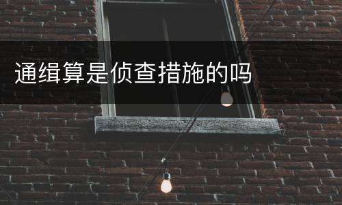 通缉算是侦查措施的吗