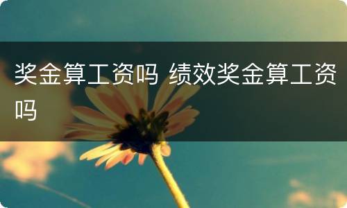 奖金算工资吗 绩效奖金算工资吗