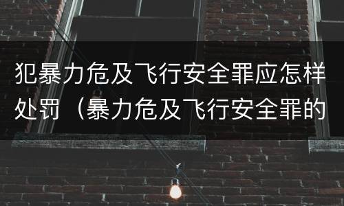 犯暴力危及飞行安全罪应怎样处罚（暴力危及飞行安全罪的构成要件）