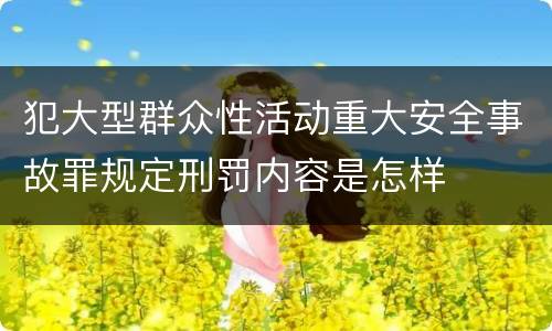 犯大型群众性活动重大安全事故罪规定刑罚内容是怎样