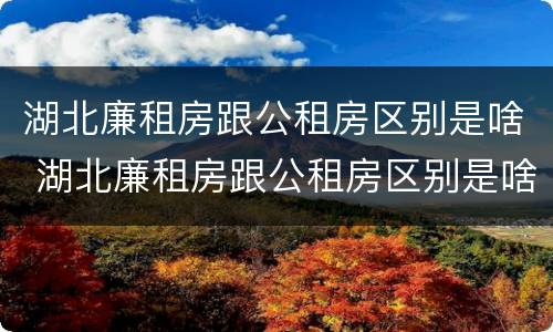 湖北廉租房跟公租房区别是啥 湖北廉租房跟公租房区别是啥啊
