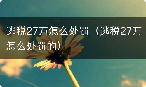 逃税27万怎么处罚（逃税27万怎么处罚的）