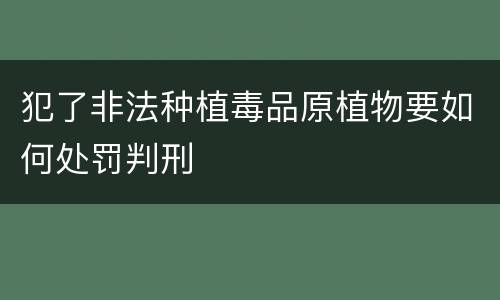 犯了非法种植毒品原植物要如何处罚判刑