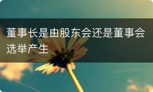 董事长是由股东会还是董事会选举产生