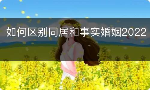 如何区别同居和事实婚姻2022