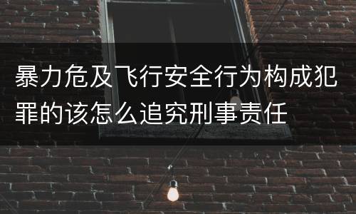 暴力危及飞行安全行为构成犯罪的该怎么追究刑事责任