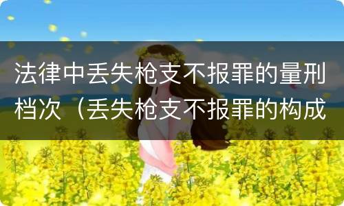 法律中丢失枪支不报罪的量刑档次（丢失枪支不报罪的构成要件）