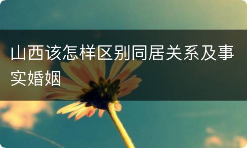 山西该怎样区别同居关系及事实婚姻