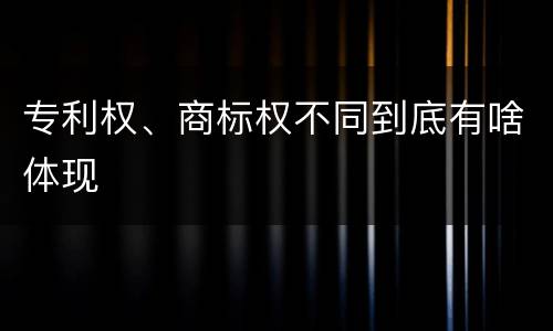 专利权、商标权不同到底有啥体现