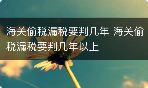 海关偷税漏税要判几年 海关偷税漏税要判几年以上