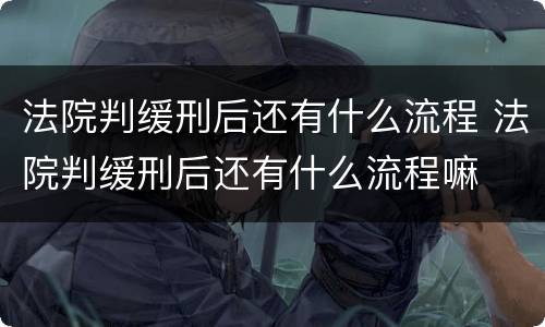 法院判缓刑后还有什么流程 法院判缓刑后还有什么流程嘛