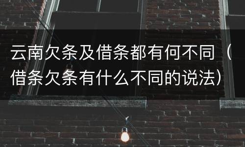 云南欠条及借条都有何不同（借条欠条有什么不同的说法）