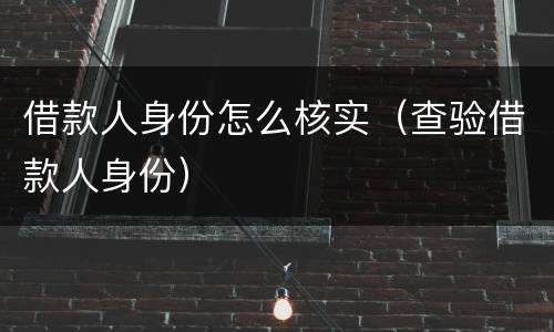 借款人身份怎么核实（查验借款人身份）