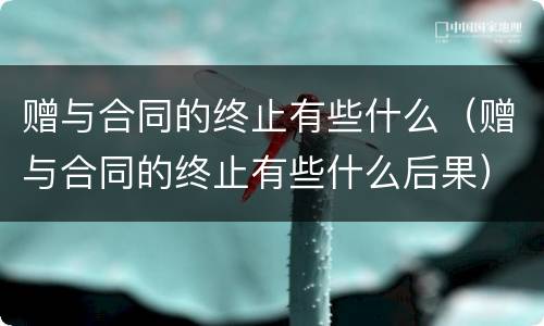 赠与合同的终止有些什么（赠与合同的终止有些什么后果）