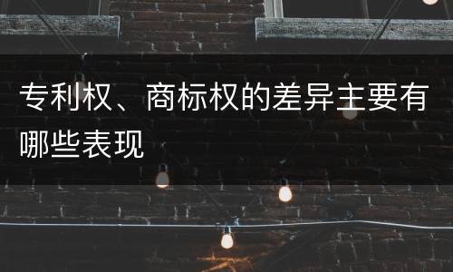 专利权、商标权的差异主要有哪些表现