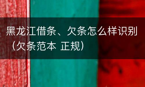 黑龙江借条、欠条怎么样识别（欠条范本 正规）