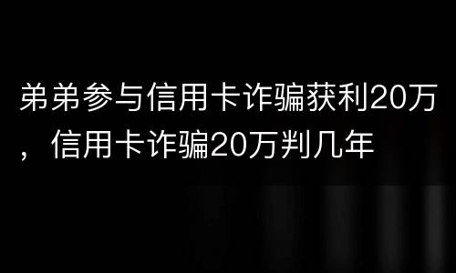 弟弟参与信用卡诈骗获利20万，信用卡诈骗20万判几年