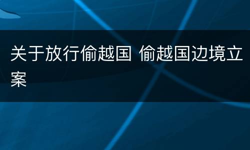 关于放行偷越国 偷越国边境立案
