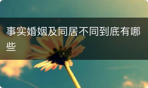 事实婚姻及同居不同到底有哪些