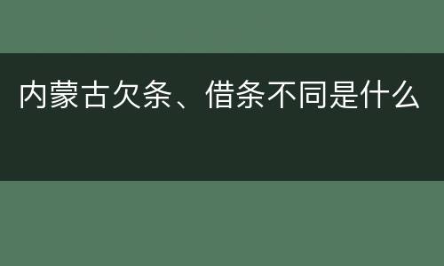 内蒙古欠条、借条不同是什么