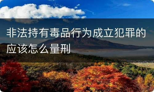 非法持有毒品行为成立犯罪的应该怎么量刑