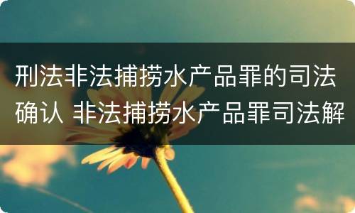 刑法非法捕捞水产品罪的司法确认 非法捕捞水产品罪司法解释最新