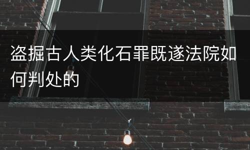 盗掘古人类化石罪既遂法院如何判处的
