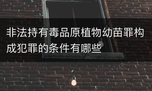 非法持有毒品原植物幼苗罪构成犯罪的条件有哪些