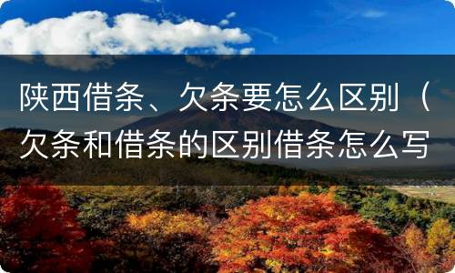 陕西借条、欠条要怎么区别（欠条和借条的区别借条怎么写）