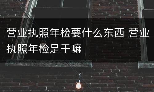 营业执照年检要什么东西 营业执照年检是干嘛