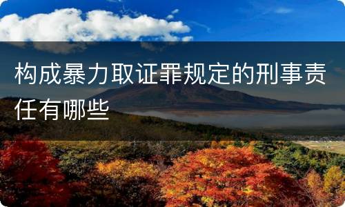 构成暴力取证罪规定的刑事责任有哪些