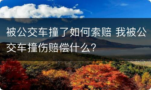 被公交车撞了如何索赔 我被公交车撞伤赔偿什么?