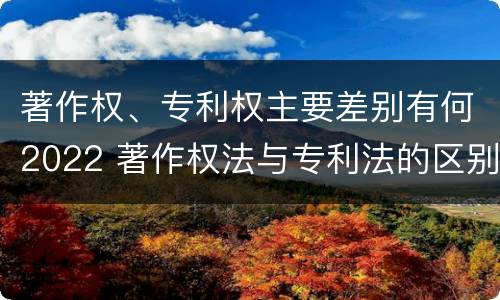 著作权、专利权主要差别有何2022 著作权法与专利法的区别