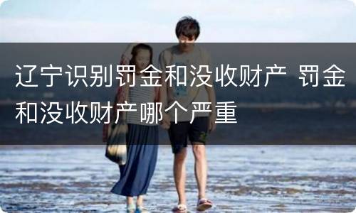 辽宁识别罚金和没收财产 罚金和没收财产哪个严重