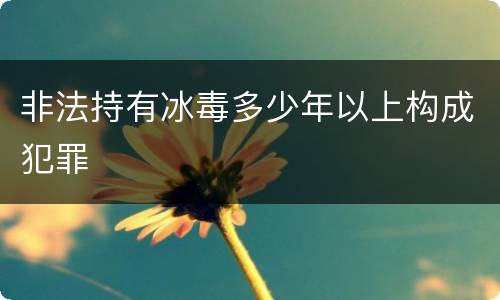 非法持有冰毒多少年以上构成犯罪