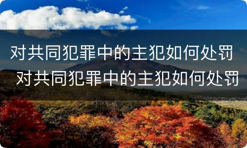 对共同犯罪中的主犯如何处罚 对共同犯罪中的主犯如何处罚呢