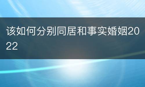 该如何分别同居和事实婚姻2022