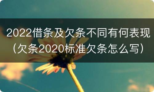 2022借条及欠条不同有何表现（欠条2020标准欠条怎么写）