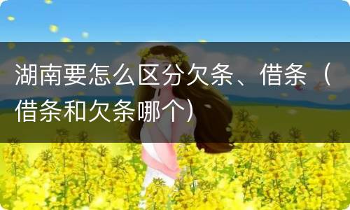 湖南要怎么区分欠条、借条（借条和欠条哪个）