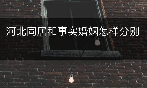 河北同居和事实婚姻怎样分别
