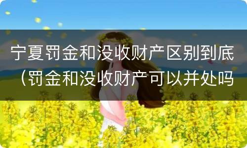 宁夏罚金和没收财产区别到底（罚金和没收财产可以并处吗）