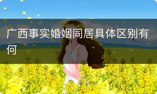 广西事实婚姻同居具体区别有何